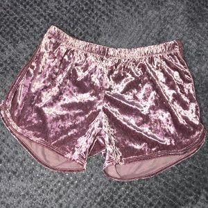 Pink Velvet Shorts